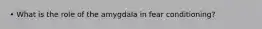 • What is the role of the amygdala in fear conditioning?