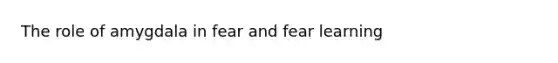 The role of amygdala in fear and fear learning