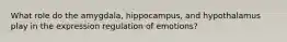 What role do the amygdala, hippocampus, and hypothalamus play in the expression regulation of emotions?