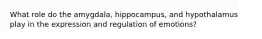 What role do the amygdala, hippocampus, and hypothalamus play in the expression and regulation of emotions?