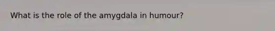 What is the role of the amygdala in humour?