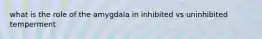 what is the role of the amygdala in inhibited vs uninhibited temperment