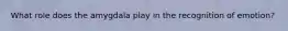 What role does the amygdala play in the recognition of emotion?