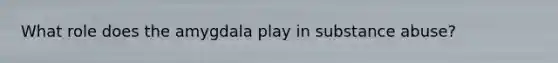 What role does the amygdala play in substance abuse?