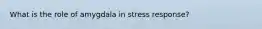 What is the role of amygdala in stress response?