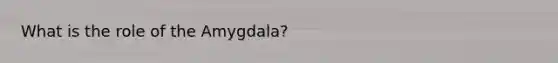 What is the role of the Amygdala?