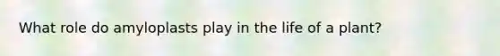 What role do amyloplasts play in the life of a plant?