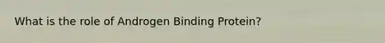 What is the role of Androgen Binding Protein?