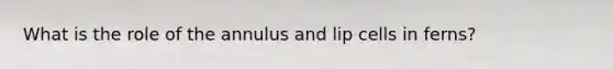 What is the role of the annulus and lip cells in ferns?