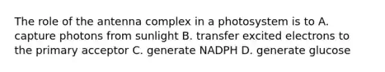 The role of the antenna complex in a photosystem is to A. capture photons from sunlight B. transfer excited electrons to the primary acceptor C. generate NADPH D. generate glucose