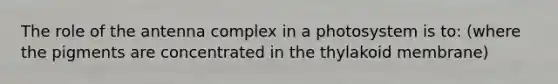 The role of the antenna complex in a photosystem is to: (where the pigments are concentrated in the thylakoid membrane)