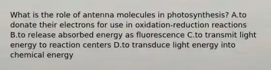 What is the role of antenna molecules in photosynthesis? A.to donate their electrons for use in oxidation-reduction reactions B.to release absorbed energy as fluorescence C.to transmit light energy to reaction centers D.to transduce light energy into chemical energy