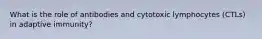 What is the role of antibodies and cytotoxic lymphocytes (CTLs) in adaptive immunity?