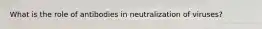 What is the role of antibodies in neutralization of viruses?