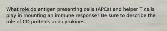 What role do antigen presenting cells (APCs) and helper T cells play in mounting an immune response? Be sure to describe the role of CD proteins and cytokines.