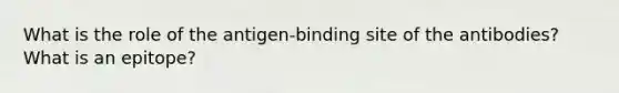 What is the role of the antigen-binding site of the antibodies? What is an epitope?