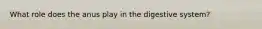 What role does the anus play in the digestive system?