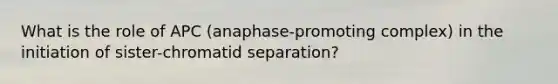 What is the role of APC (anaphase-promoting complex) in the initiation of sister-chromatid separation?