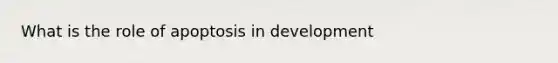 What is the role of apoptosis in development