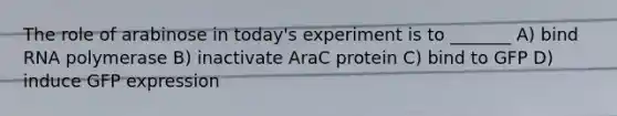 The role of arabinose in today's experiment is to _______ A) bind RNA polymerase B) inactivate AraC protein C) bind to GFP D) induce GFP expression