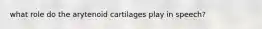 what role do the arytenoid cartilages play in speech?