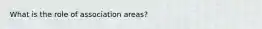 What is the role of association areas?