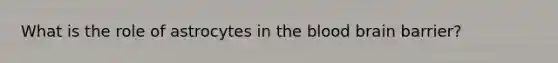 What is the role of astrocytes in the blood brain barrier?