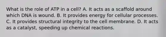 What is the role of ATP in a cell? A. It acts as a scaffold around which DNA is wound. B. It provides energy for cellular processes. C. It provides structural integrity to the cell membrane. D. It acts as a catalyst, speeding up chemical reactions.