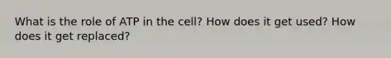 What is the role of ATP in the cell? How does it get used? How does it get replaced?