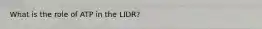 What is the role of ATP in the LIDR?