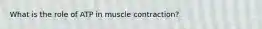What is the role of ATP in muscle contraction?