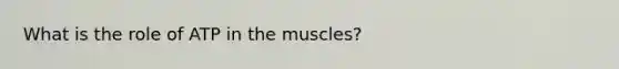 What is the role of ATP in the muscles?