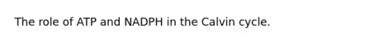 The role of ATP and NADPH in the Calvin cycle.