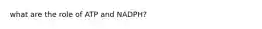 what are the role of ATP and NADPH?