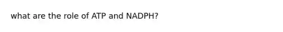 what are the role of ATP and NADPH?