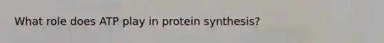 What role does ATP play in protein synthesis?