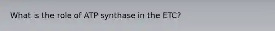 What is the role of ATP synthase in the ETC?