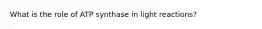 What is the role of ATP synthase in light reactions?