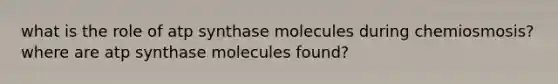 what is the role of atp synthase molecules during chemiosmosis? where are atp synthase molecules found?