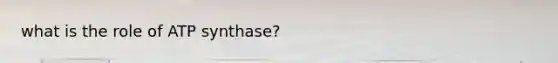 what is the role of ATP synthase?