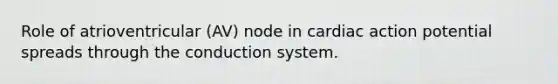 Role of atrioventricular (AV) node in cardiac action potential spreads through the conduction system.