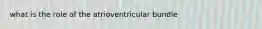 what is the role of the atrioventricular bundle