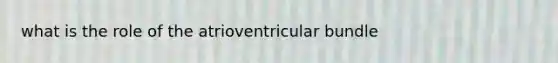 what is the role of the atrioventricular bundle