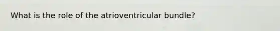 What is the role of the atrioventricular bundle?