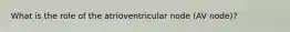 What is the role of the atrioventricular node (AV node)?