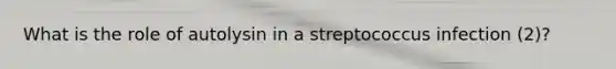 What is the role of autolysin in a streptococcus infection (2)?