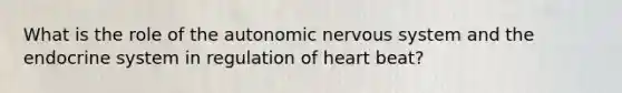 What is the role of the autonomic nervous system and the endocrine system in regulation of heart beat?