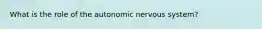 What is the role of the autonomic nervous system?