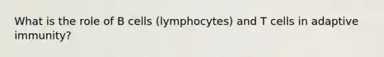 What is the role of B cells (lymphocytes) and T cells in adaptive immunity?