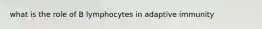 what is the role of B lymphocytes in adaptive immunity